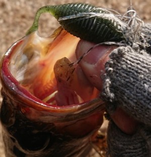 hideup 久次米良信 ブログ写真 2018/02/12