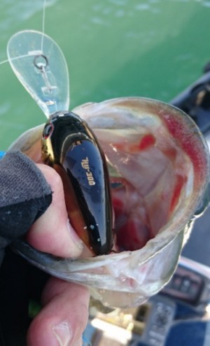 hideup 久次米良信 ブログ写真 2018/02/14