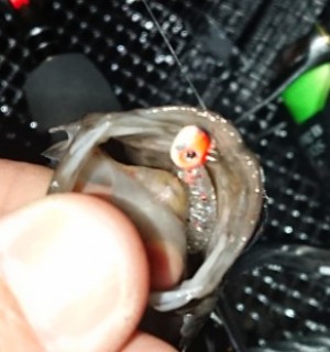 hideup 久次米良信 ブログ写真 2018/02/15