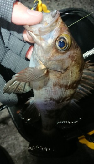 hideup 久次米良信 ブログ写真 2018/02/15