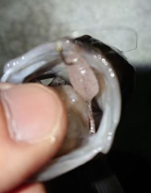 hideup 久次米良信 ブログ写真 2018/02/17