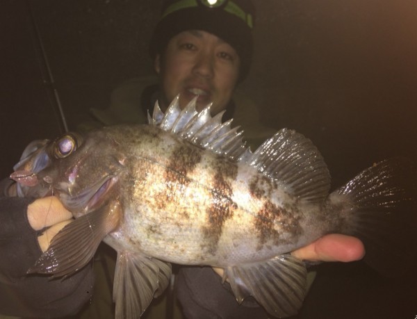 hideup 久次米良信 ブログ写真 2018/02/17