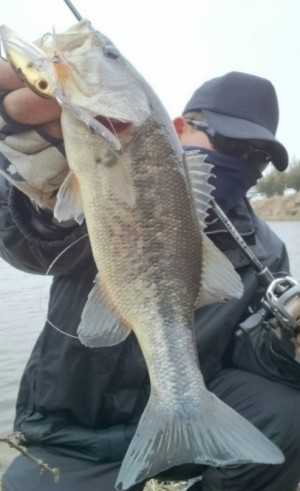 hideup 久次米良信 ブログ写真 2018/03/02