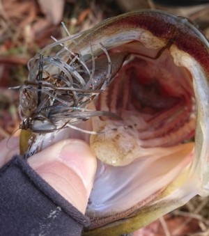 hideup 久次米良信 ブログ写真 2018/03/13