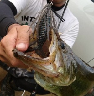 hideup 久次米良信 ブログ写真 2018/03/21