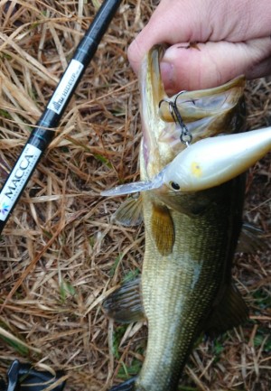 hideup 久次米良信 ブログ写真 2018/03/22