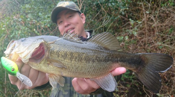 hideup 久次米良信 ブログ写真 2018/03/22