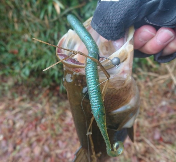 hideup 久次米良信 ブログ写真 2018/03/22