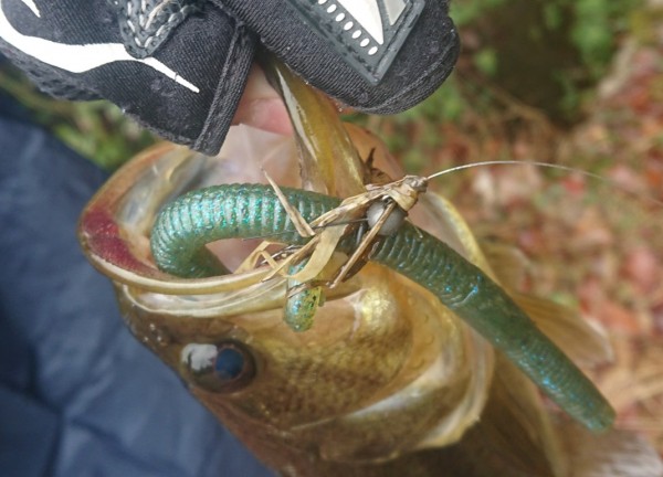 hideup 久次米良信 ブログ写真 2018/03/22