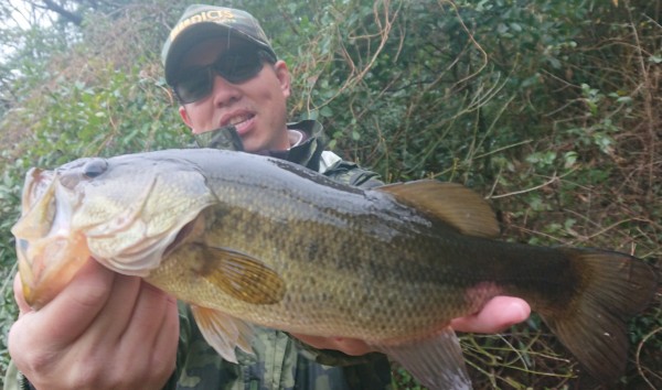 hideup 久次米良信 ブログ写真 2018/03/22