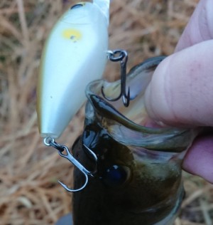 hideup 久次米良信 ブログ写真 2018/03/22