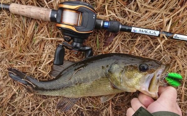 hideup 久次米良信 ブログ写真 2018/03/22