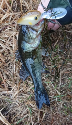 hideup 久次米良信 ブログ写真 2018/03/22