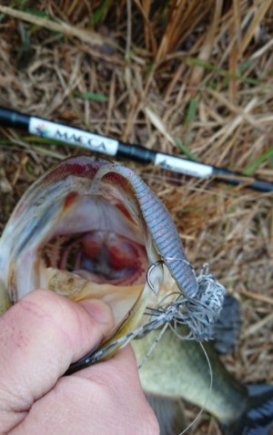 hideup 久次米良信 ブログ写真 2018/03/22