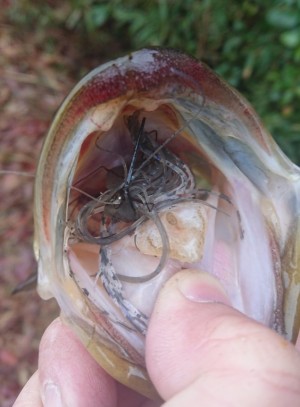 hideup 久次米良信 ブログ写真 2018/03/22