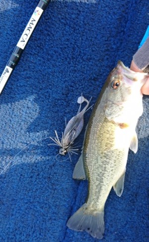 hideup 久次米良信 ブログ写真 2018/04/02