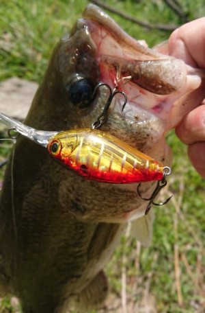 hideup 久次米良信 ブログ写真 2018/04/04