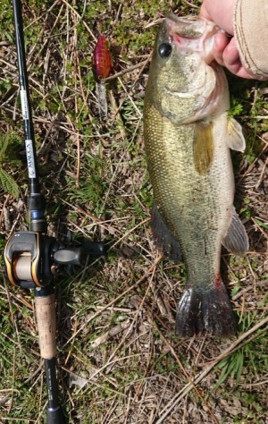 hideup 久次米良信 ブログ写真 2018/04/04