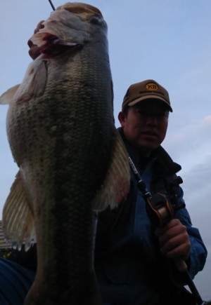 hideup 久次米良信 ブログ写真 2018/04/09