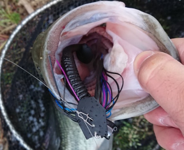 hideup 久次米良信 ブログ写真 2018/04/09