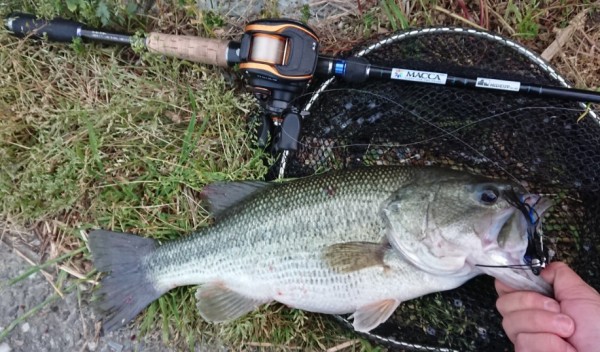 hideup 久次米良信 ブログ写真 2018/04/09