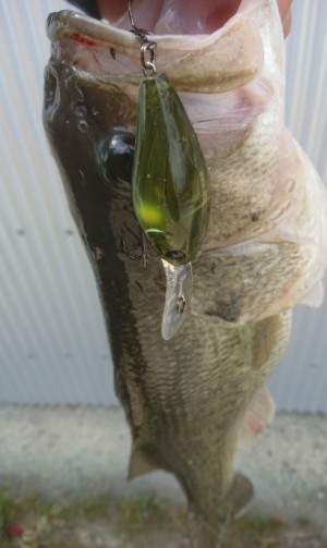 hideup 久次米良信 ブログ写真 2018/04/10