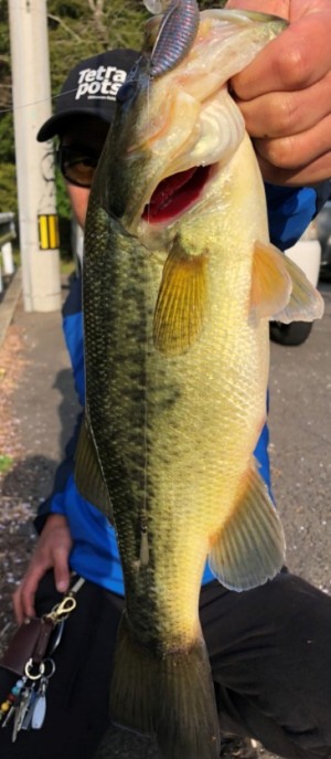 hideup 久次米良信 ブログ写真 2018/04/10