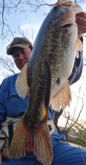 hideup 久次米良信 ブログ写真 2018/04/11