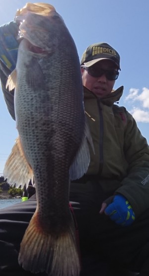 hideup 久次米良信 ブログ写真 2018/04/12