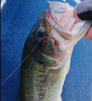 hideup 久次米良信 ブログ写真 2018/04/12