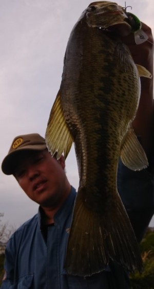 hideup 久次米良信 ブログ写真 2018/04/13