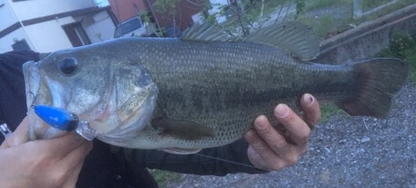 hideup 久次米良信 ブログ写真 2018/04/13