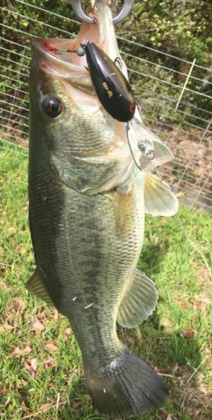 hideup 久次米良信 ブログ写真 2018/04/18