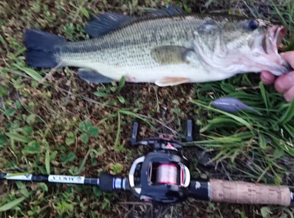 hideup 久次米良信 ブログ写真 2018/04/19