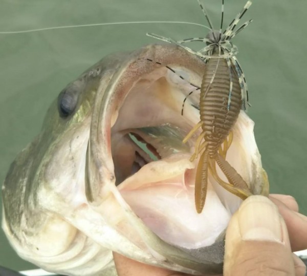 hideup 久次米良信 ブログ写真 2018/05/02