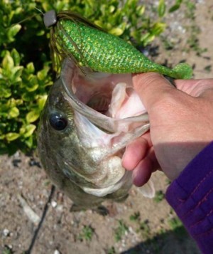 hideup 久次米良信 ブログ写真 2018/05/02