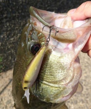 hideup 久次米良信 ブログ写真 2018/05/02