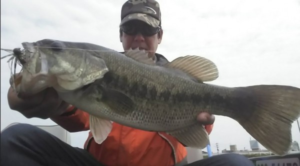 hideup 久次米良信 ブログ写真 2018/05/02