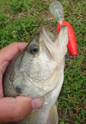 hideup 久次米良信 ブログ写真 2018/05/03