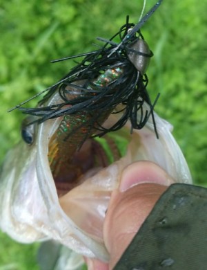 hideup 久次米良信 ブログ写真 2018/05/03