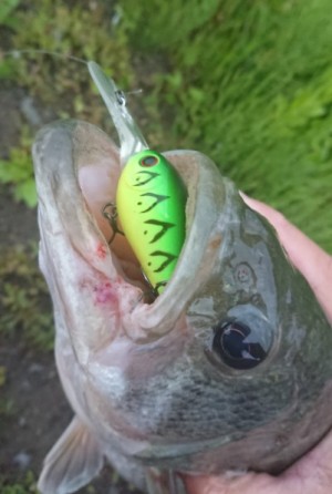 hideup 久次米良信 ブログ写真 2018/05/03