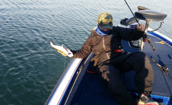 hideup 久次米良信 ブログ写真 2018/05/05