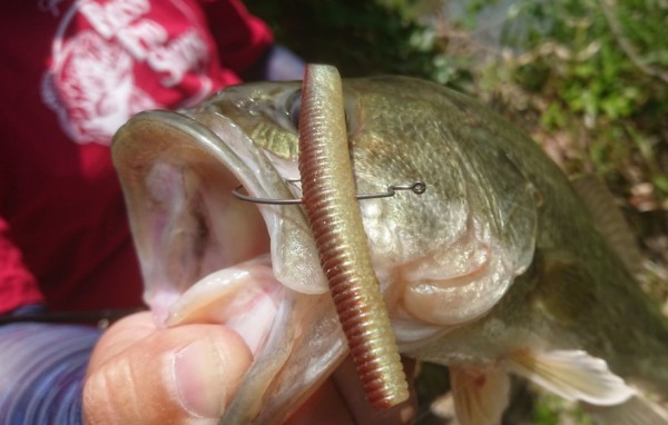 hideup 久次米良信 ブログ写真 2018/05/08