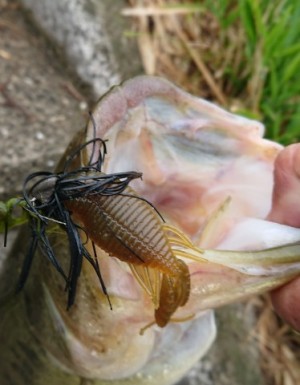 hideup 久次米良信 ブログ写真 2018/05/09