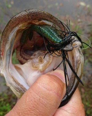 hideup 久次米良信 ブログ写真 2018/05/09