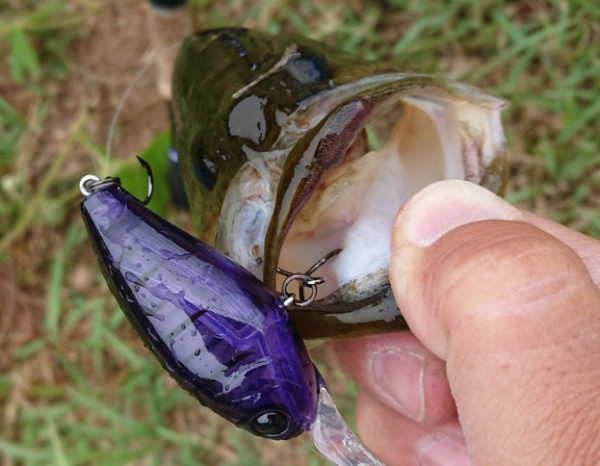 hideup 久次米良信 ブログ写真 2018/05/09