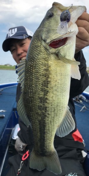 hideup 久次米良信 ブログ写真 2018/05/10