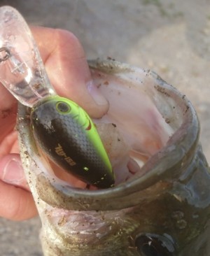 hideup 久次米良信 ブログ写真 2018/05/10