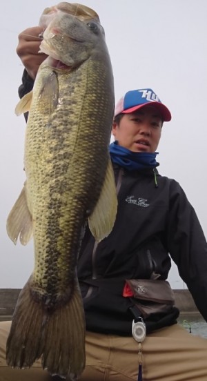 hideup 久次米良信 ブログ写真 2018/05/11