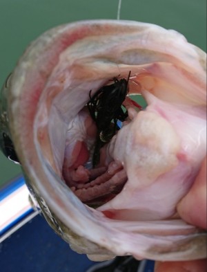 hideup 久次米良信 ブログ写真 2018/05/11